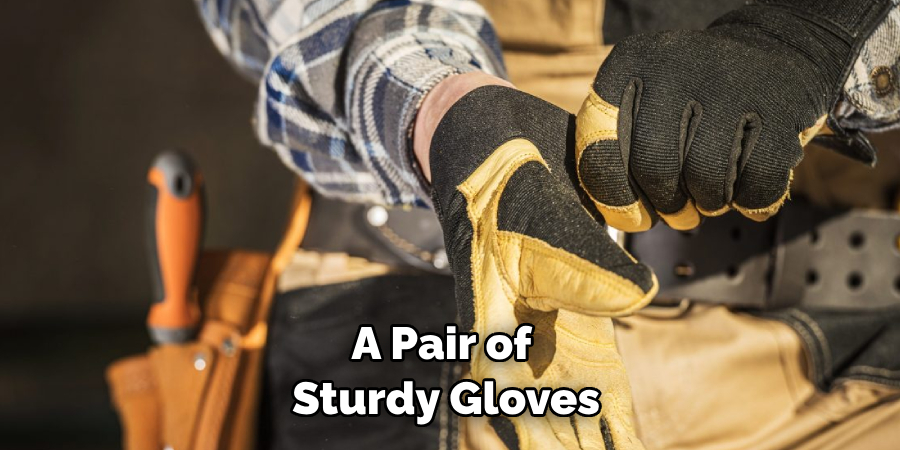 A Pair of Sturdy Gloves