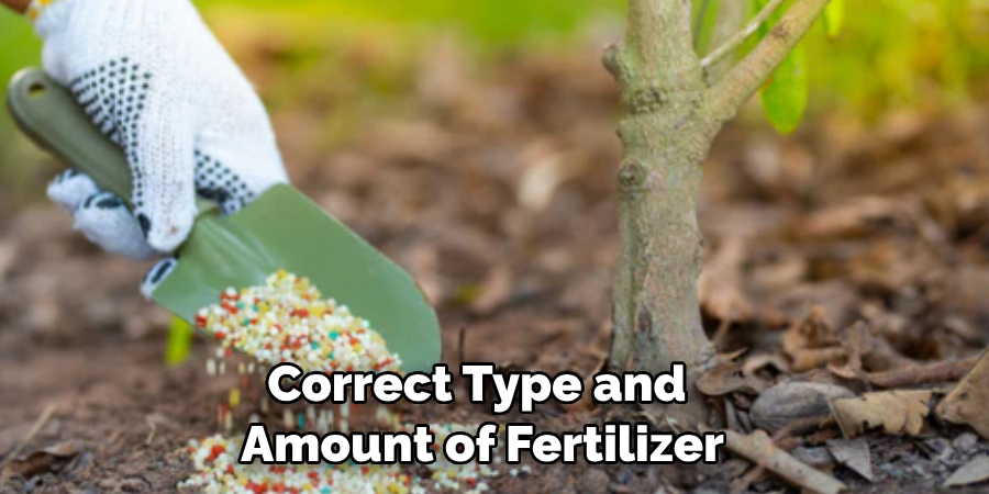 Correct Type and Amount of Fertilizer