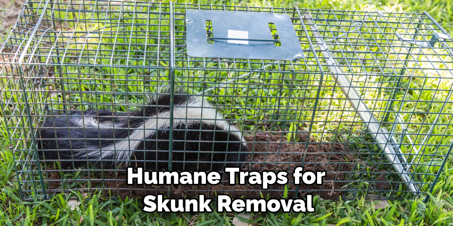 Humane Traps for Skunk Removal