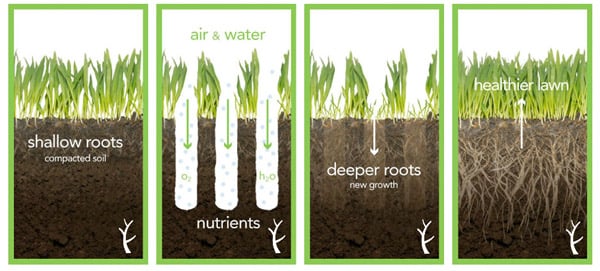 How to Aerate And Overseed Lawn