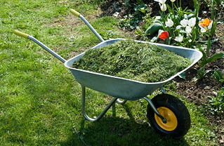 How to Collect Mowed Grass