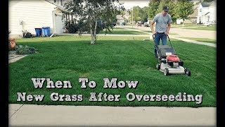 How to Cut the Grass After Overseeding