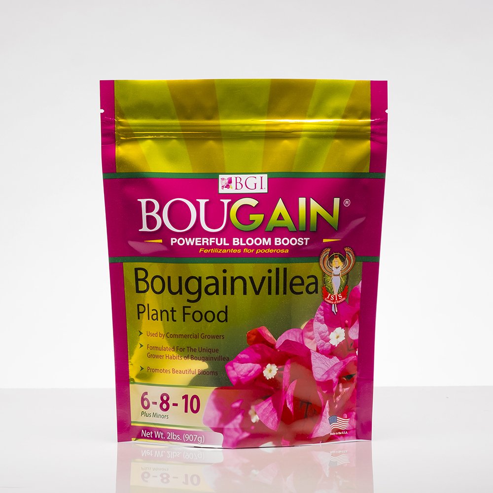 How to Fertilize Bougainvillea