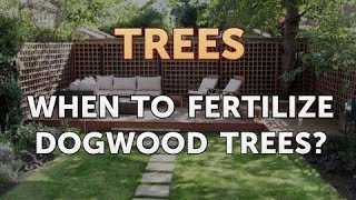 How to Fertilize Dogwood Trees