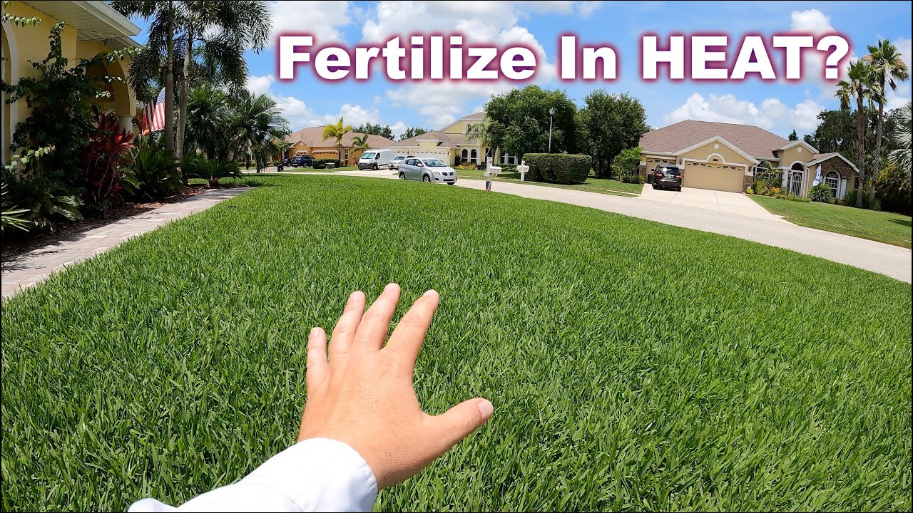 How to Fertilize Grass in Summer