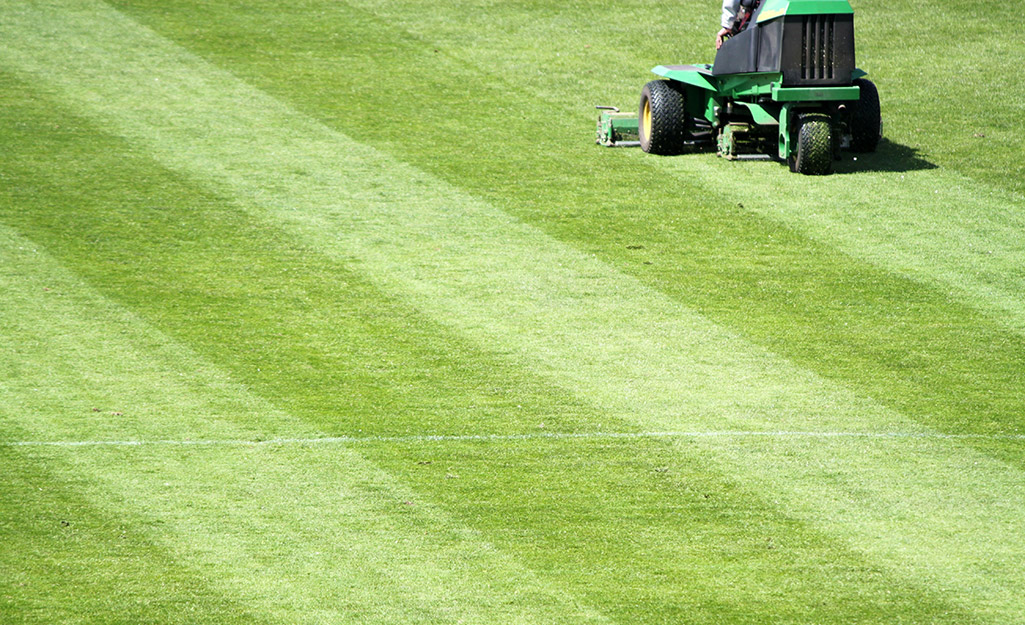 How to Get Lines in Grass With Push Mower