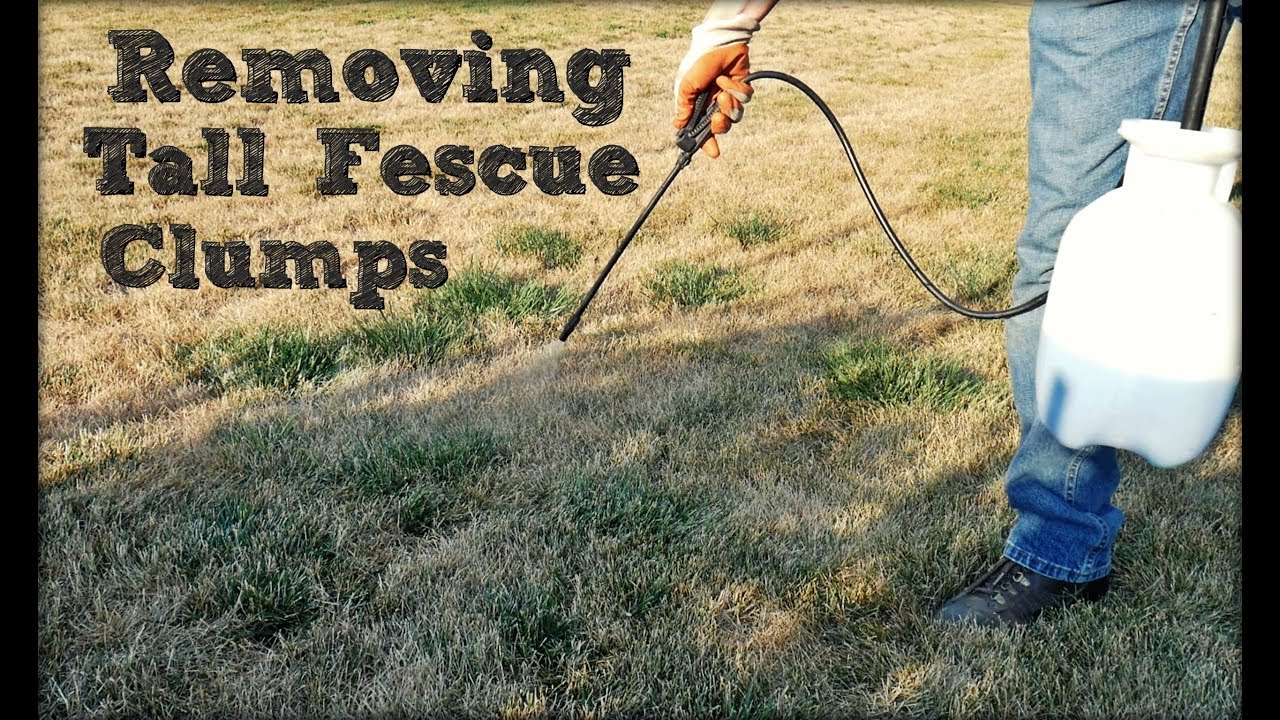 How to Get Rid of Grass Clumps