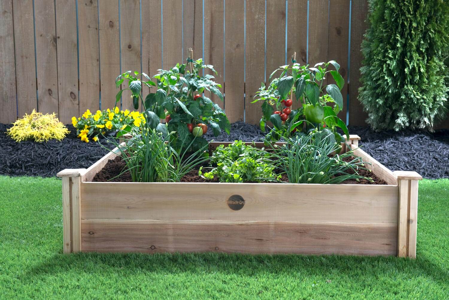 How to Grow a Salsa Garden