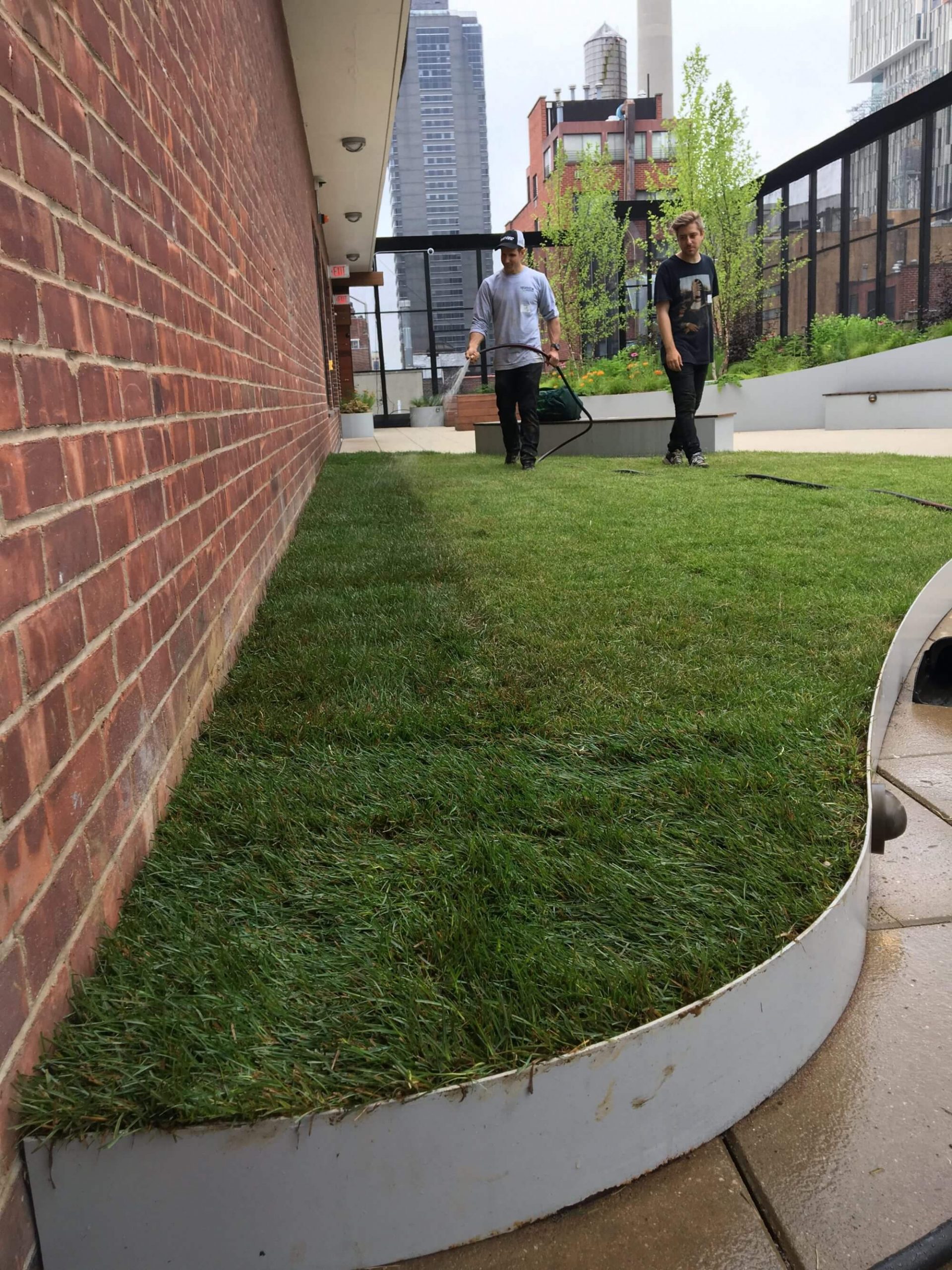 How to Grow Grass on Roof