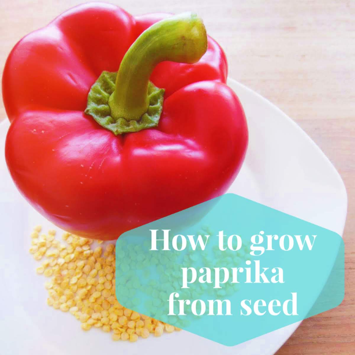 How to Grow Paprika