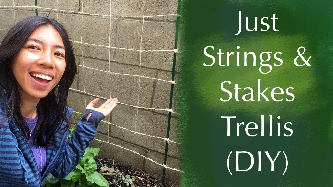 How to Make a String Trellis