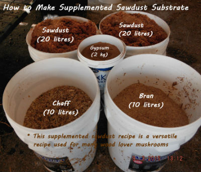 How to Make Sawdust Substrate