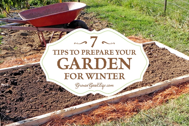 How to Prep Vegetable Garden for Winter