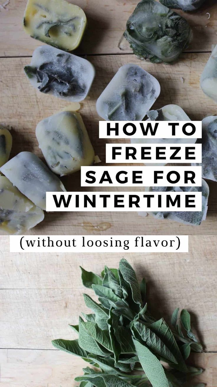 How to Preserve Sage for Winter