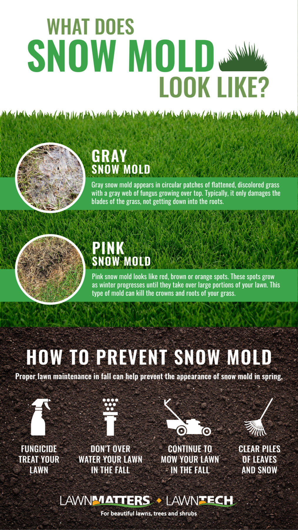 How to Prevent Snow Mold on Grass