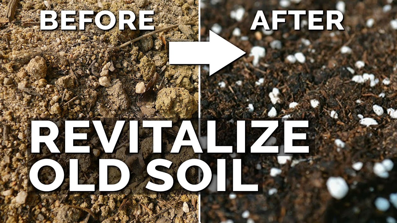 How to Rejuvenate Old Soil