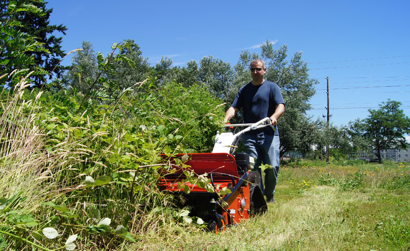 How to Remove Brush from Yard