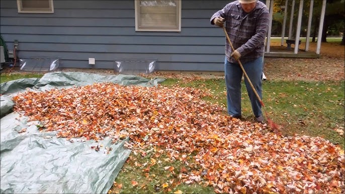 How to Shred Pine Cones