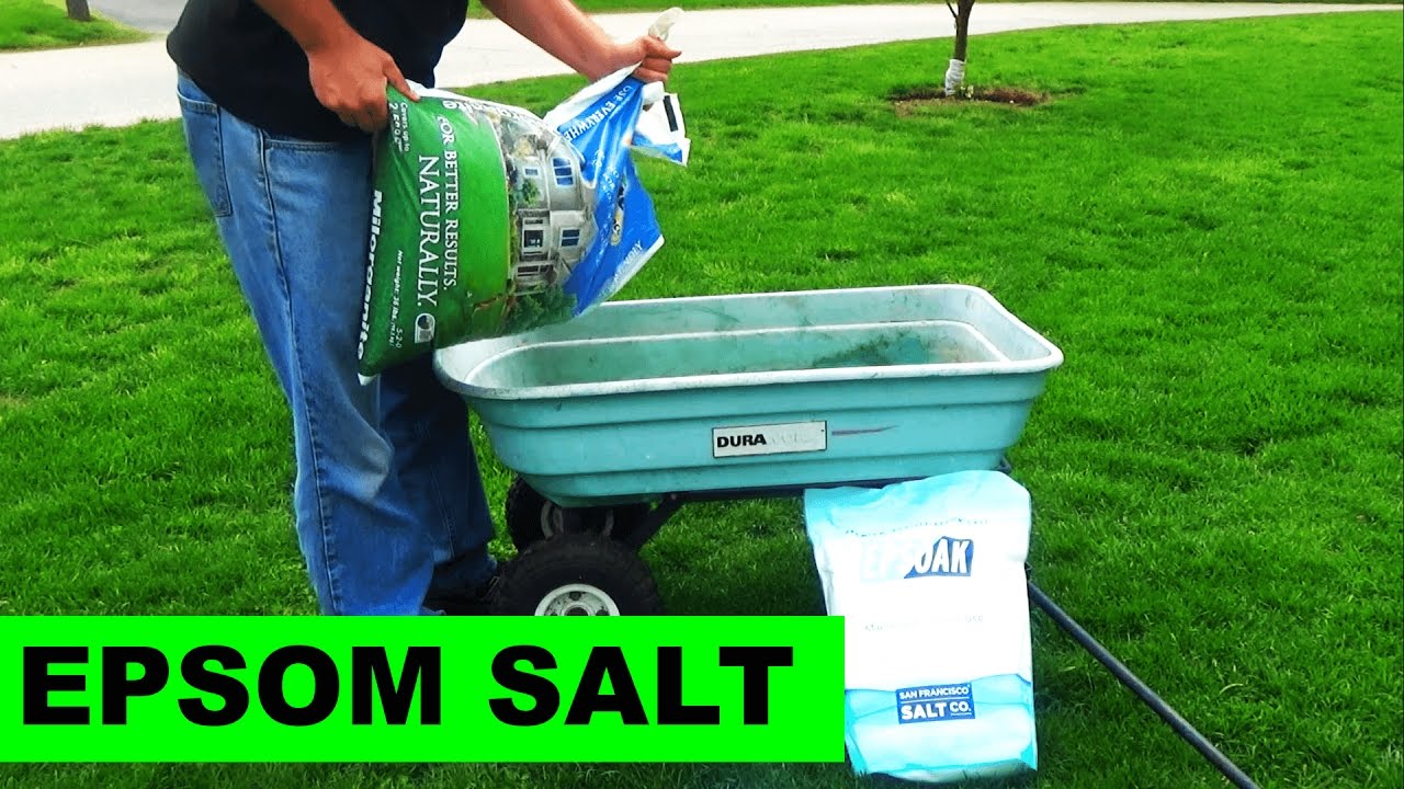 How to Spread Epsom Salt on Grass