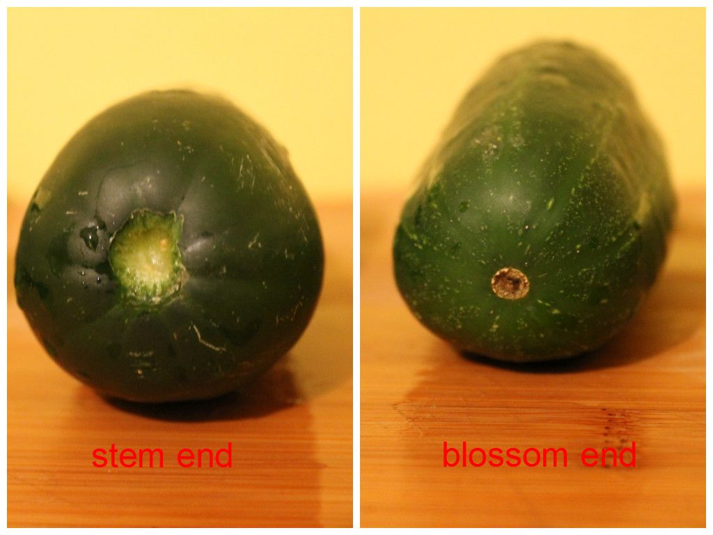 How to Tell the Blossom End of a Cucumber