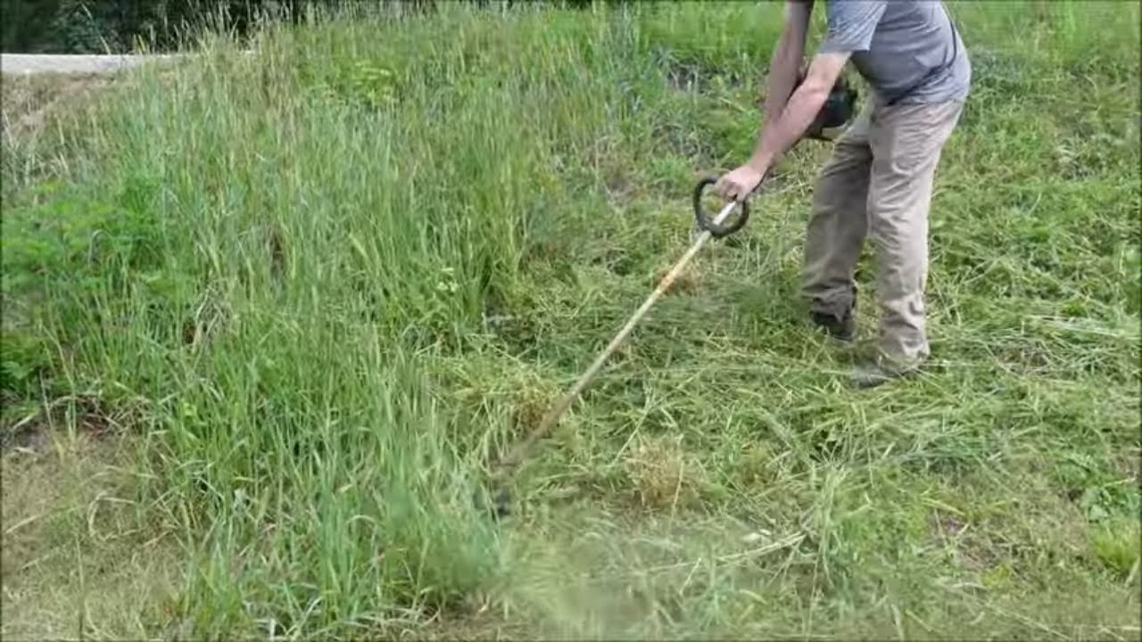 How to Weed Eat Tall Grass