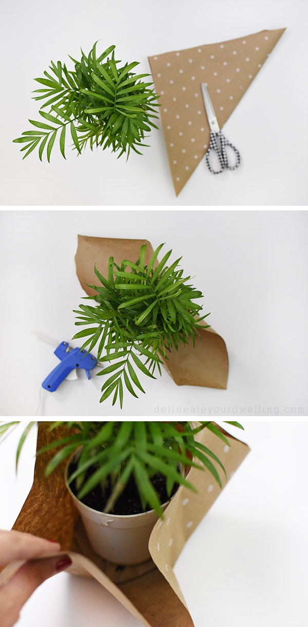 How to Wrap Pot Plant