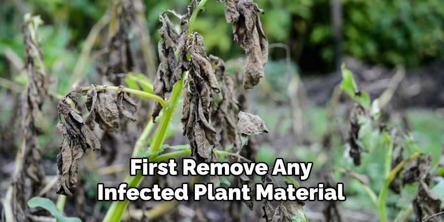 First Remove Any Infected Plant Material