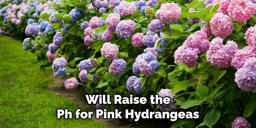 Will Raise the Ph for Pink Hydrangeas