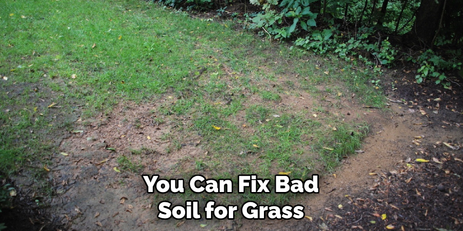 You Can Fix Bad Soil for Grass