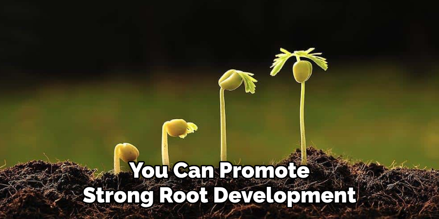 You Can Promote Strong Root Development