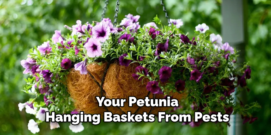 Your Petunia Hanging Baskets From Pests