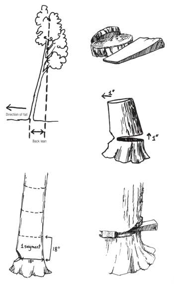 How to Fell a Leaning Tree in Opposite Direction