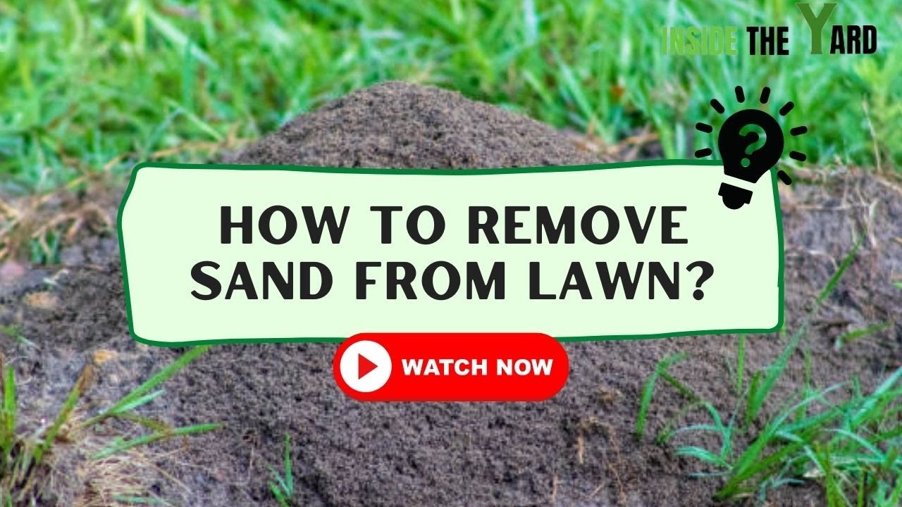 How to Get Rid of Sand in Yard