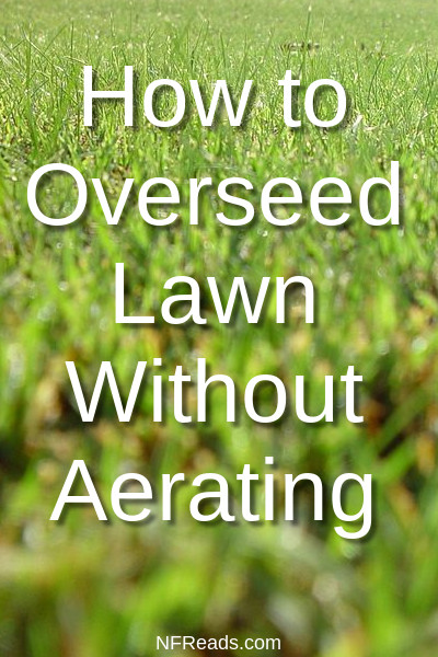 How to Overseed Lawn Without Aerating