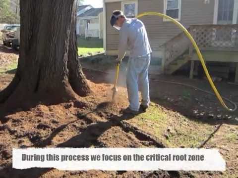 How to Aerate Soil around Trees