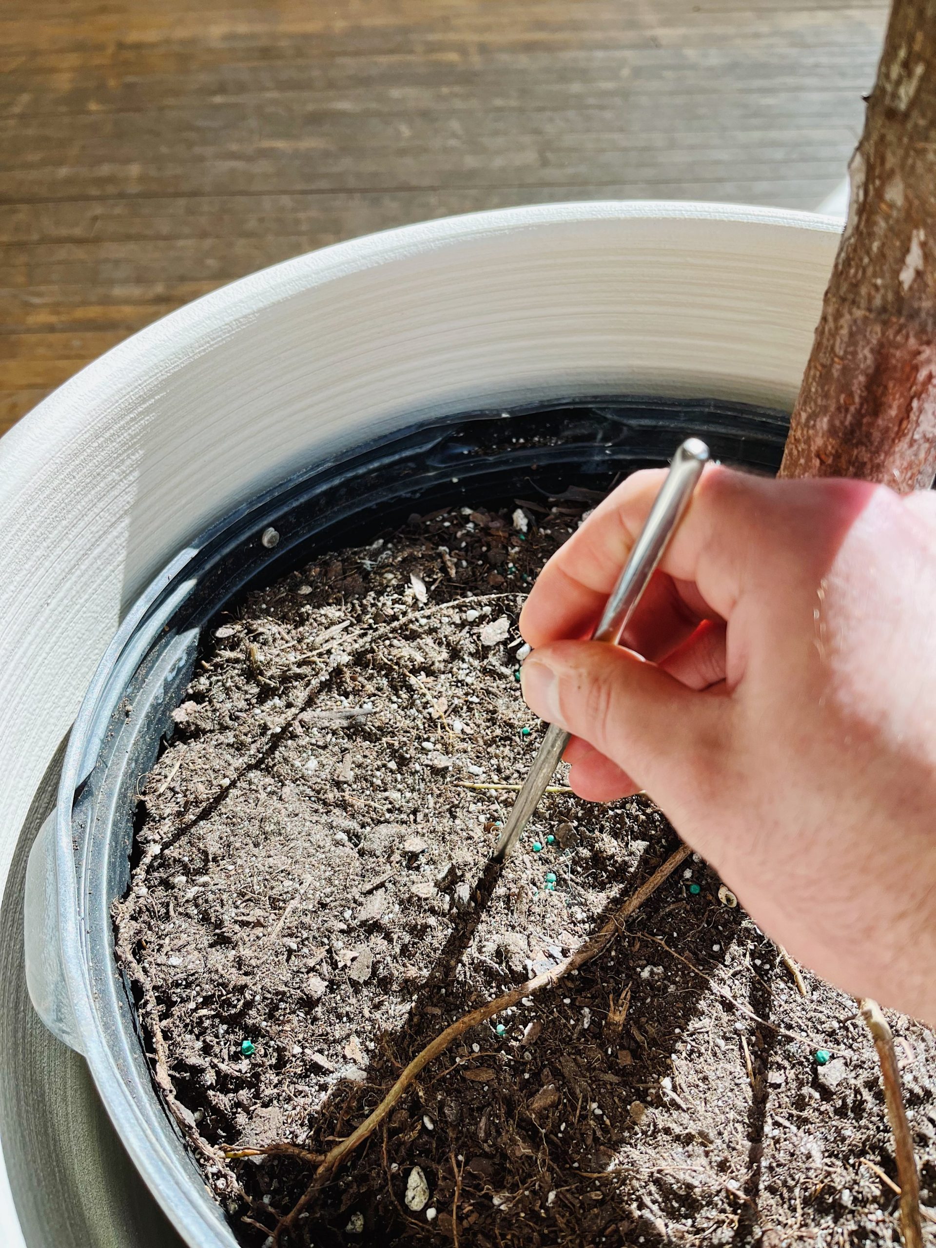 How to Aerate Soil in Pots