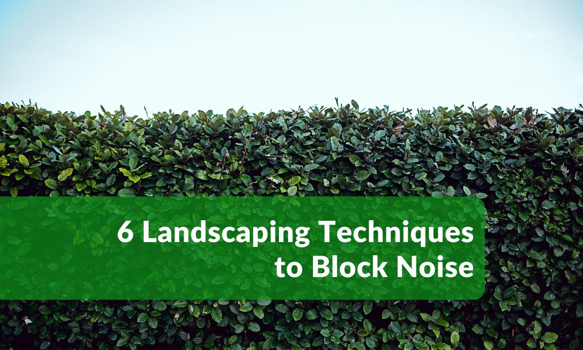 How to Create a Sound Barrier With Landscaping