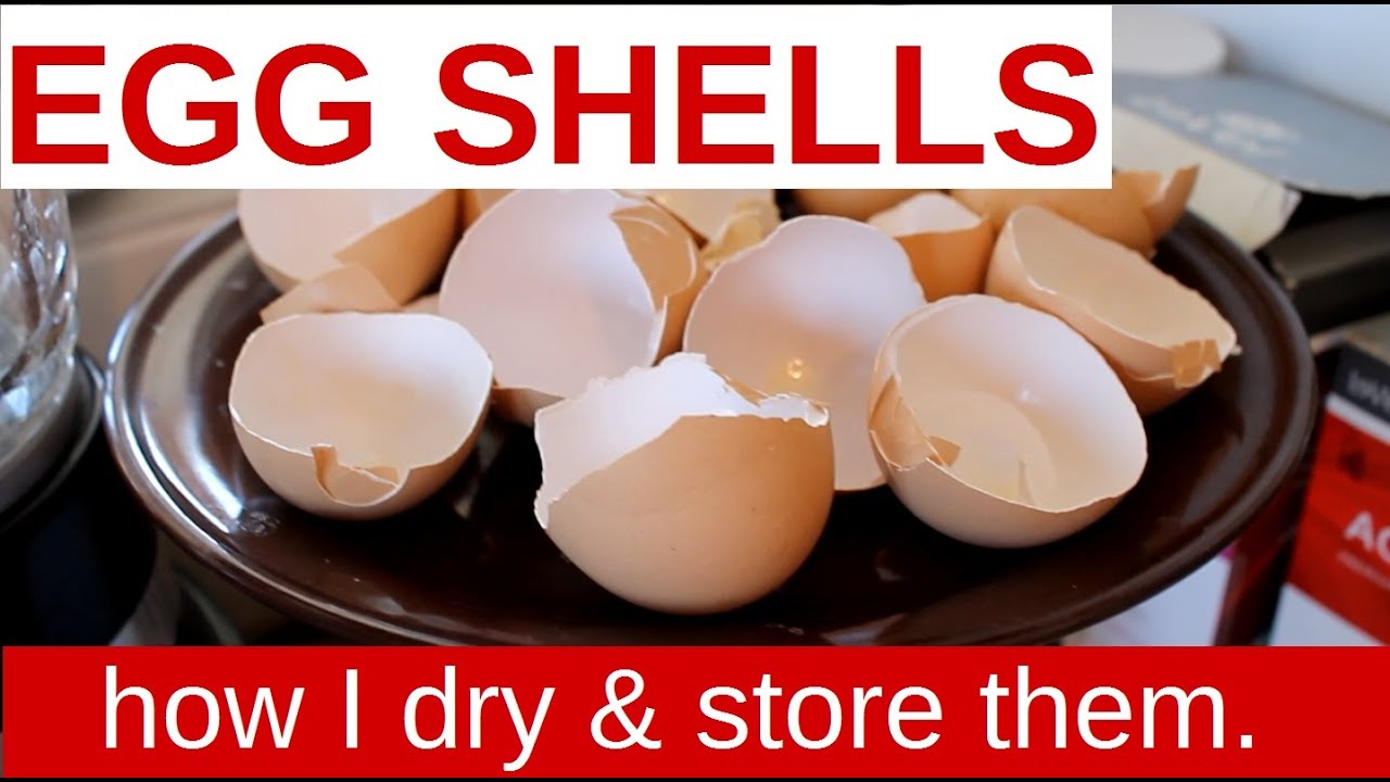 How to Dry Egg Shells