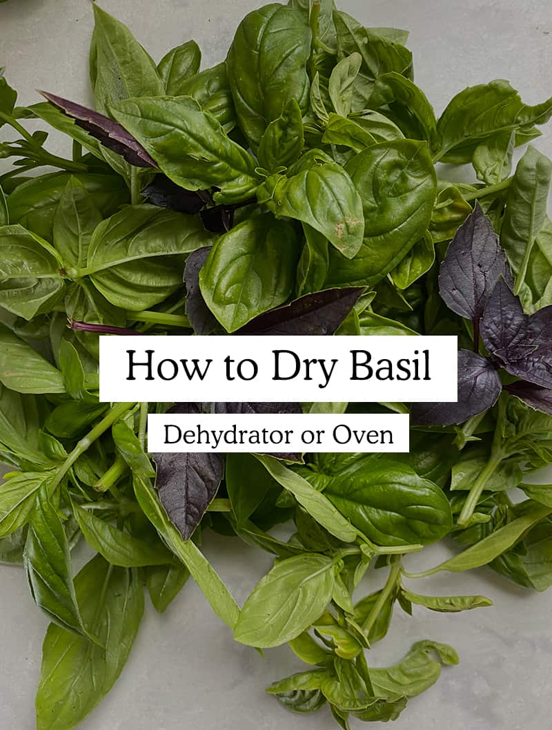 How to Dry Out Basil from the Garden