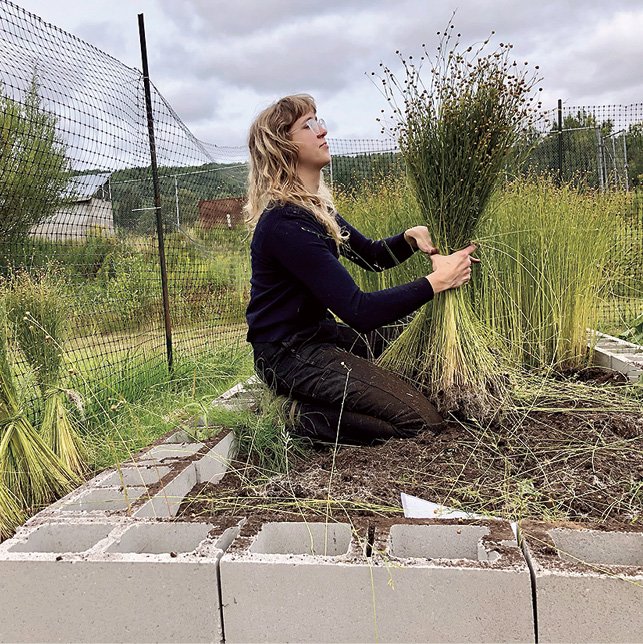 How to Grow Flax for Linen