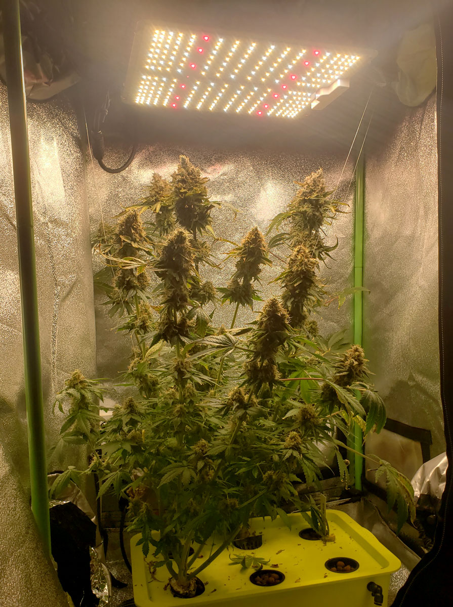 How to Heat a Grow Tent