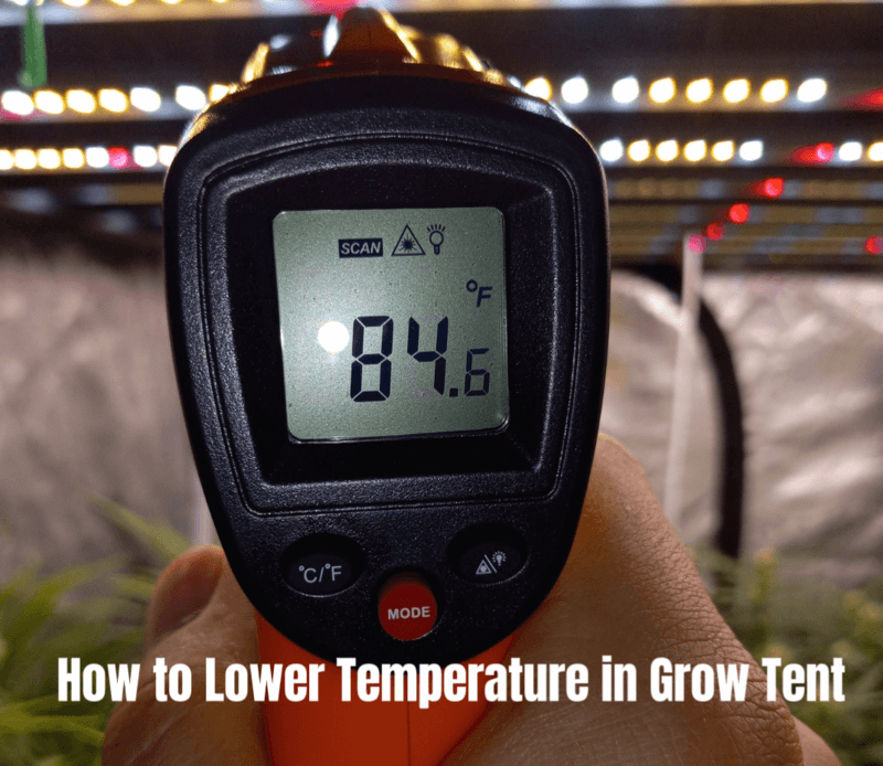 How to Lower Temp in Grow Tent