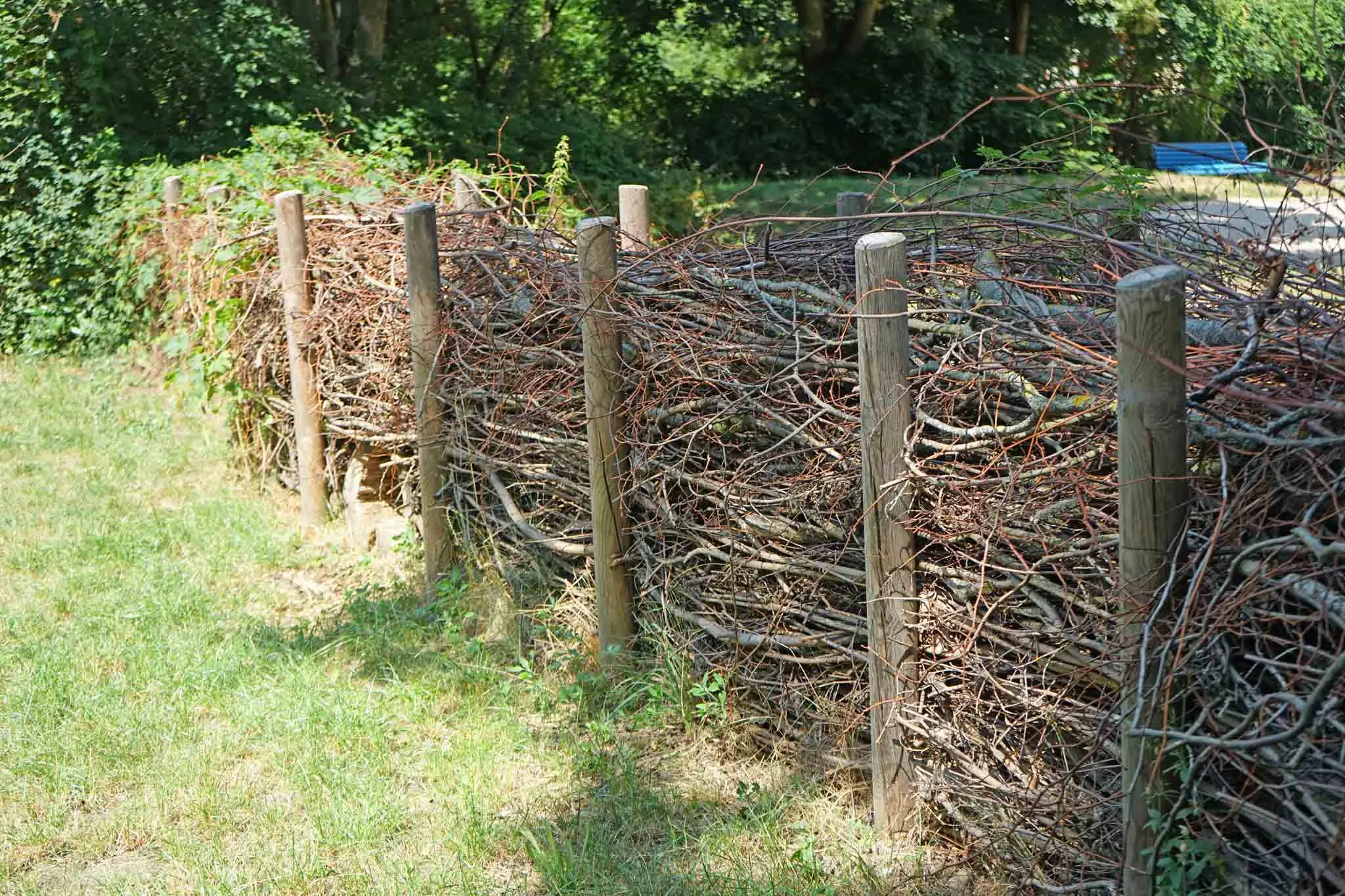 How to Make a Dead Hedge Fence