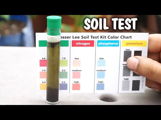 How to Measure Soil Nutrients