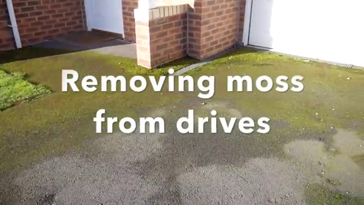 How to Remove Moss on Concrete