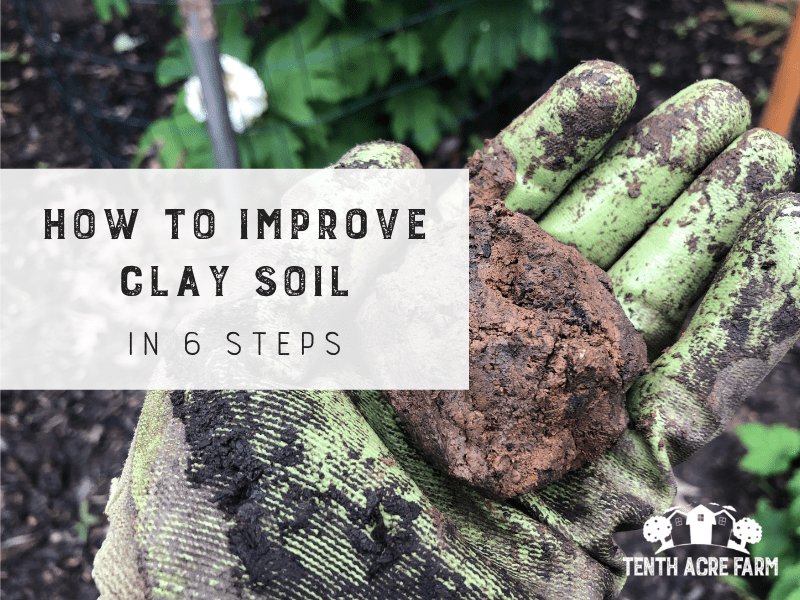 How to Remove Weeds from Clay Soil