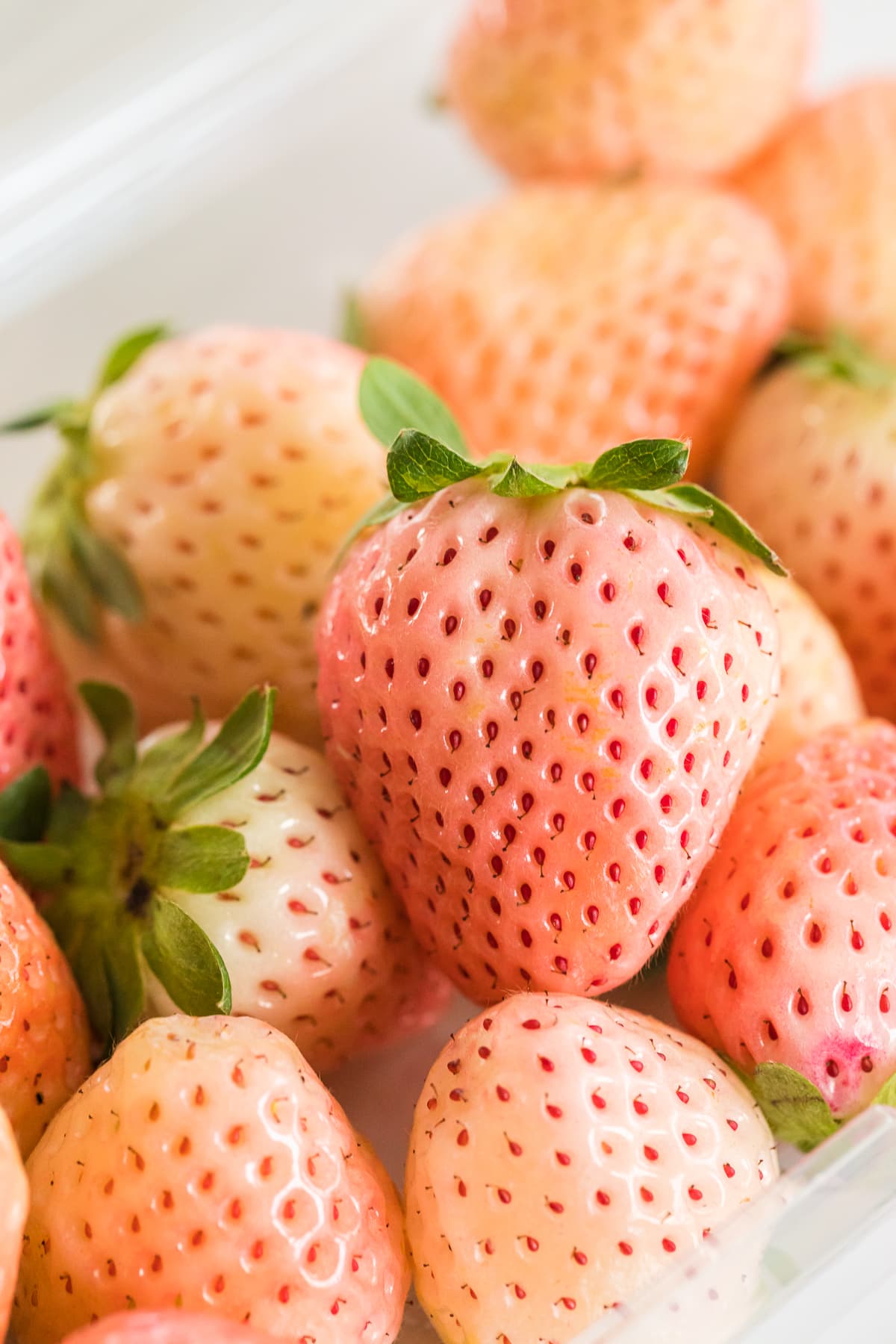 How to Tell If Pineberries are Ripe