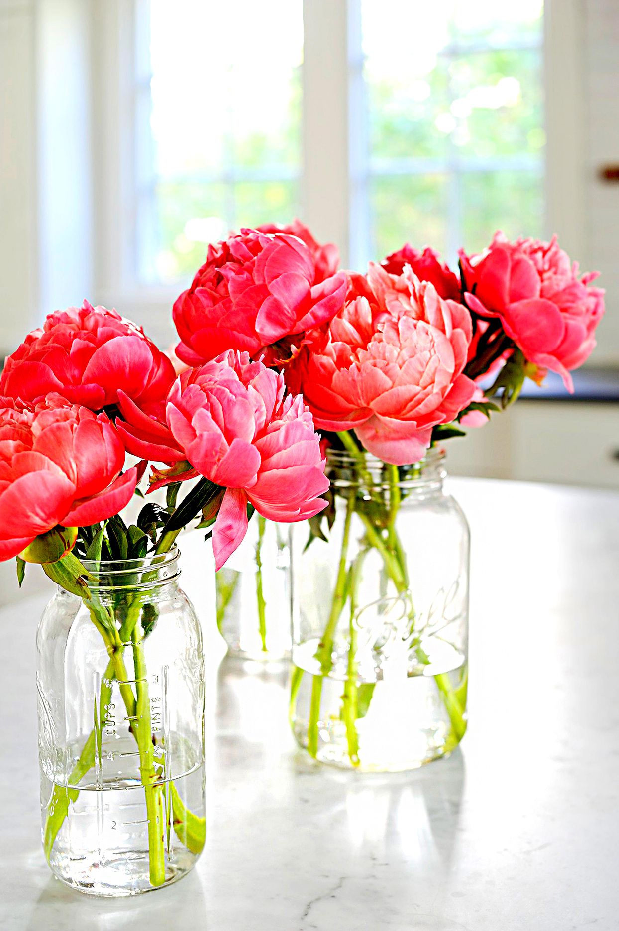 How to Care for Cut Peonies