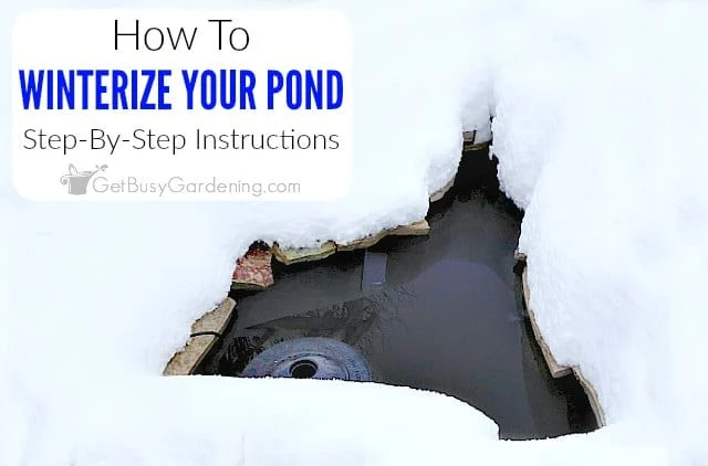 How to Winterize a Garden Pond