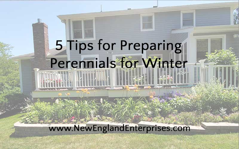 How to Prepare Perennials for Winter